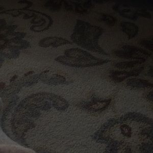 Meet your Posher, Karina